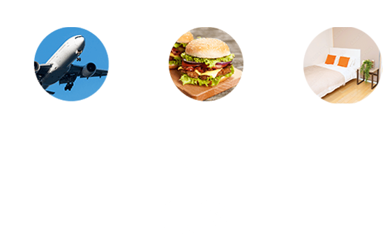 往復航空券+滞在・食費 無料 総額費用 約30万円